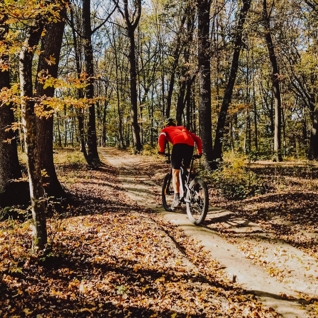 Trail Trips Romania eBIKE